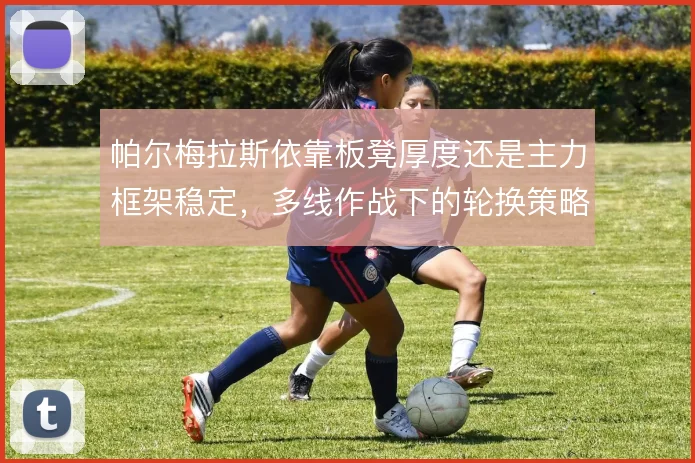 帕尔梅拉斯依靠板凳厚度还是主力框架稳定，多线作战下的轮换策略如何取舍