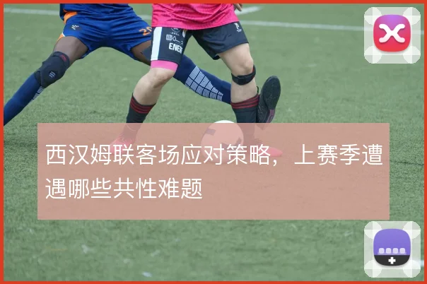 西汉姆联客场应对策略,上赛季遭遇哪些共性难题